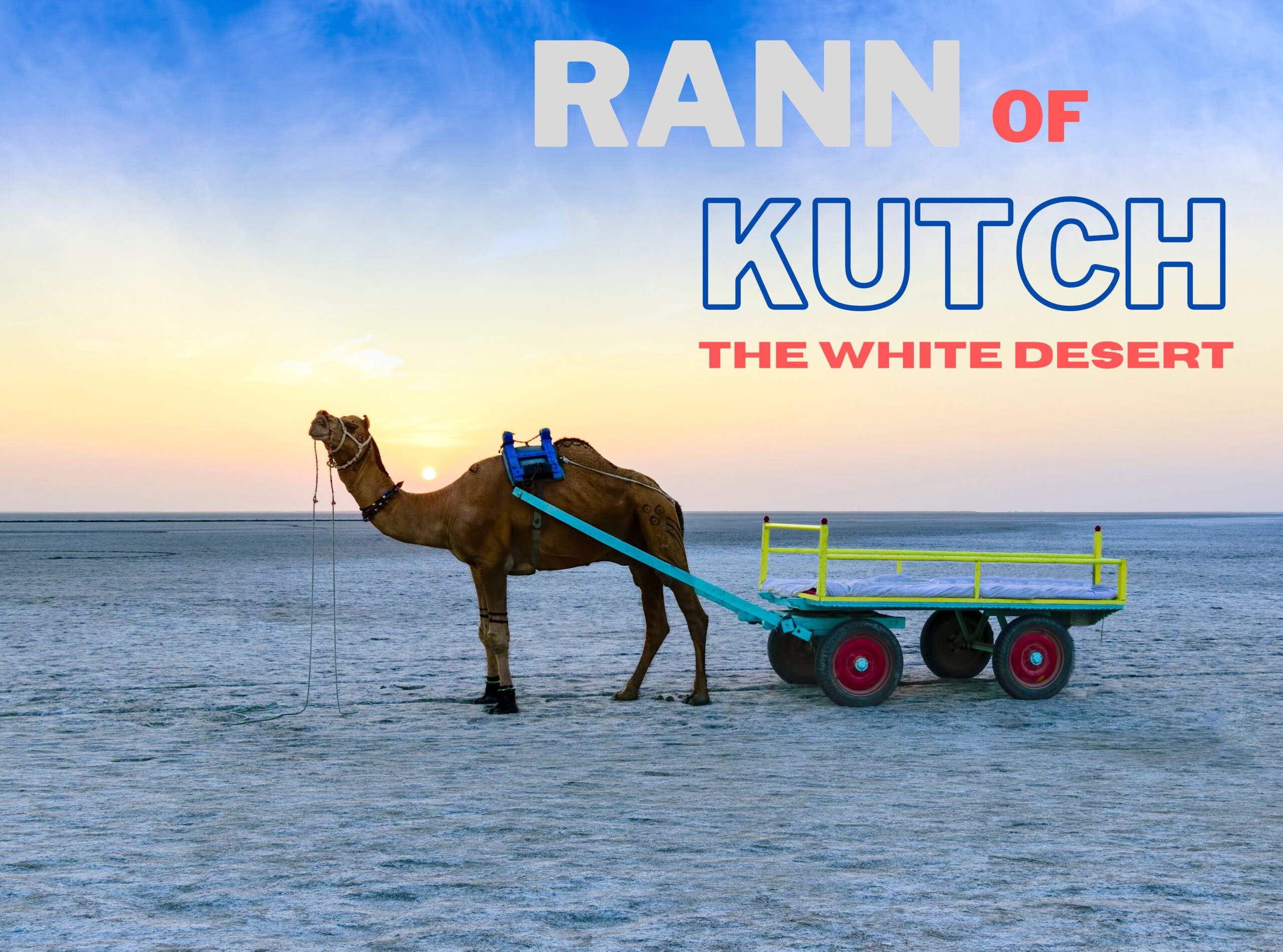 Rann of Kutch Gujarat Travel Guide 2023-2024